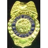 INDIANA STATE POLICE BADGE PIN